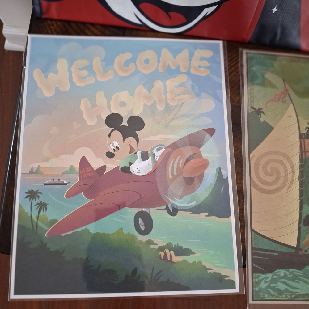 Disney Castaway Club Platinum Gift Set + DVC Items - Picture 10 of 11
